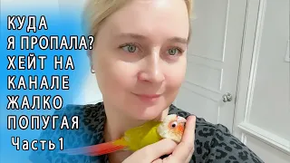 КУДА Я ПРОПАЛА? ХЕЙТ НА КАНАЛЕ | БЕДНЫЙ ПОПУГАЙ В ЗООМАГАЗИНЕ