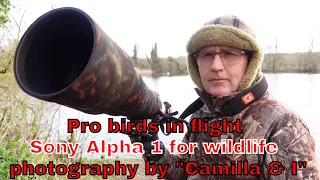 Pro birds in flight Sony Alpha 1 for wildlife photography by "Camilla & I"