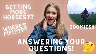 ANSWERING YOUR QUESTIONS!🤔 Q&A with Lexi