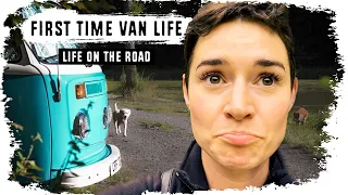 FIRST TIME VAN LIFE - An Intense Way To Get To Know Someone! 😂