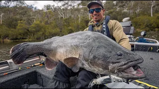 Australian Freshwater Giants - Topwater fishing for big Murray cod