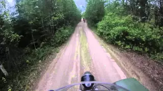 Entire Forest Road in the Republic of Karelia, Russia