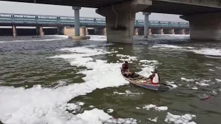 Toxic Foam Forms on Sacred Yamuna River in India