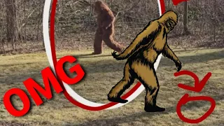 Bigfoot sighting in California hesperia