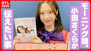 【モーニング娘。小田さくら】保護猫58匹を世話「猫を見た時“かわいい”以外を思って」