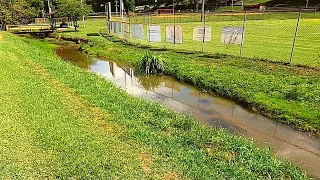 Fishing the Creek YOU Drive OVER (Tiny Creek)