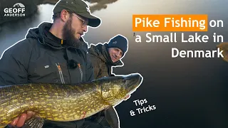 Tips and Tricks: Pike Fishing on a Small Lake in Denmark