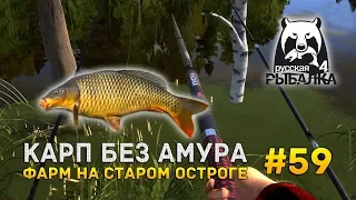 Русская рыбалка 4 #59 - Карп без Амура. Фарм на Остроге