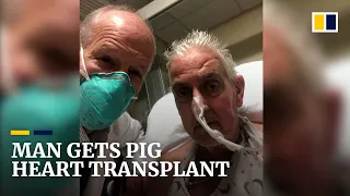 Terminally ill heart patient gets genetically modified pig’s heart in first-of-its-kind transplant