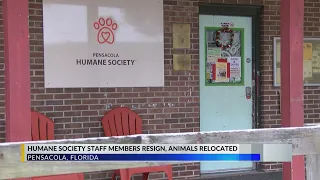 Pensacola Humane Society shelter emptied, staff quit amid Board controversy