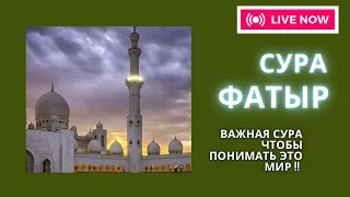 Сура Фатыр( создатель ) Слушай ее полостью перед сном ! #сура#фатыр#духовность#коран#