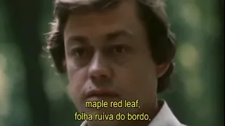 Maple leaf / Folha de Bordo / Кленовый лист- Nicolai Karachentsev - 1984