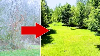 TRANSFORMAR NUESTRO TERRENO EN UN PARQUE PEQUEÑO. construye un jardín tú mismo paso a paso. HERMOSO!