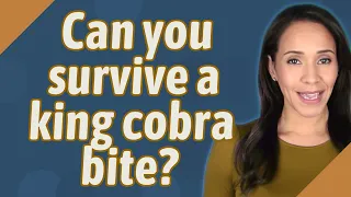 Can you survive a king cobra bite?