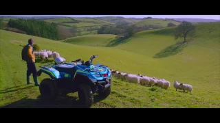 2017 Suzuki : ATV