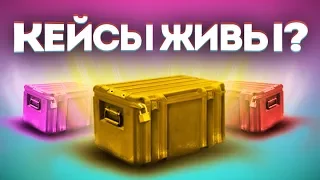 ВСЯ ПРАВДА О КЕЙСАХ