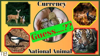 "Can You Guess the National Animal of Each Country? Take the Ultimate Currency and Wildlife Quiz!"