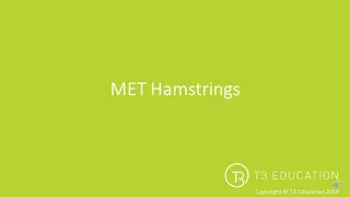 MET: Post Isometric Relaxation of the Hamstrings