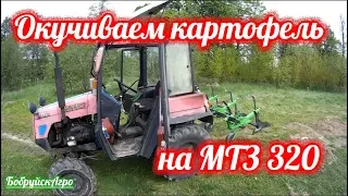 Окучиваем картофель на МТЗ 320