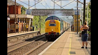 55009 'Alycidon' | At speed on the ECML with 'The Capital Deltic Reprise' - Saturday 29th July 2023