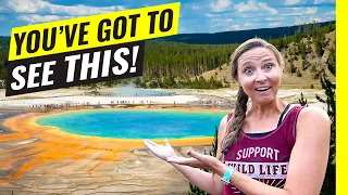 Yellowstone National Park: 10 Tips For Getting THE MOST Out of Your Visit