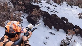 ENDLESS HERD OF WILD BOAR - SONU GELMEYEN DOMUZ SÜRÜSÜ