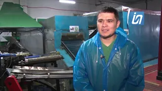Производство картофеля фри в Павлодаре - репортаж телеканала Ирбис