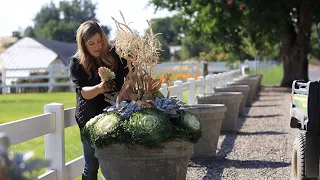 Creating Tiered Fall Containers for Maximum Plant Interest! 🍂🙌🌿 // Garden Answer