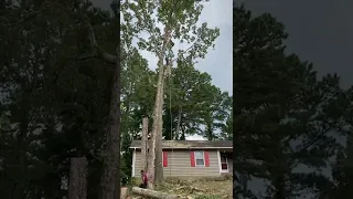 Apodando un árbol (cortando ramas que están arriba de la casa) TREE SERVICE IN ATLANTA GEORGIA