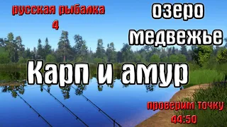Русская рыбалка 4(рр4/rf4) - озеро Медвежье. Карп и амур.