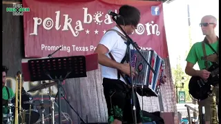 Squeezin Jam by Alex Meixner Band at  Tomball 2015