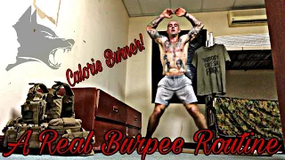 Body Blaster and Calorie Scorcher Burpee Routine (150 burpees, 350 pushups) *Description Below*