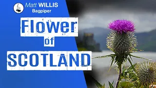 Flower of Scotland - Performed by Matt Willis Bagpiper