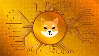 Обзор проекта Shiba inu  - можно ли верить?