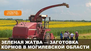 Областной семинар по заготовке травяных кормов прошел в Кировском районе