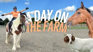 A Day In My Life | Farm Vlog