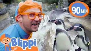 At the Penguin Zoo With Blippi | Blippi and Meekah Best Friend Adventures | Animal Videos for Kids