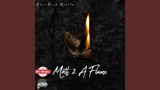 Moth 2 A Flame