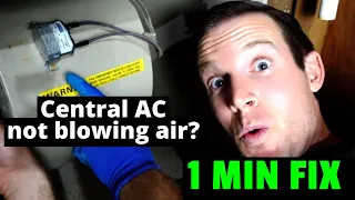 EASY FIX! Central AC / Furnace Not Blowing Air? How to fix blower fan in 1 minute