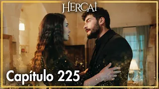 Hercai - Capítulo 225