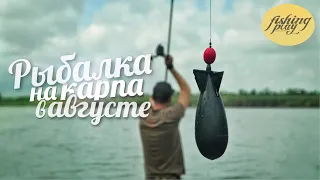 Рыбалка на карпа в августе | Карпфишинг 2021 | Водоем Каневской