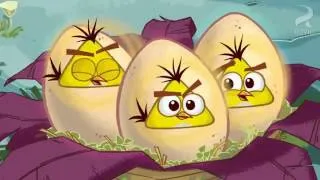 Angry Birds Toons episode 5 sneak peek 'Egg Sounds' SPECIAL