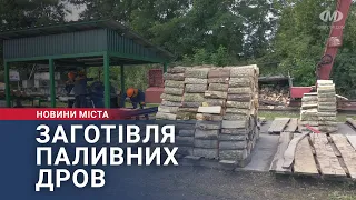 Заготівля паливних дров