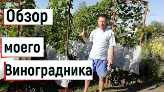 Виноградство в Оренбуржье.Обзор моего виноградника. Сорта винограда.