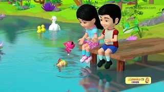 Machli Jal ki Rani Hai Hindi Rhyme | Hindi baby songs | Kindergarten | | Preschool | Kiddiestv Hindi