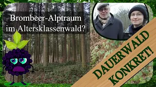 Zuschauerfrage #1 Brombeeren & Fichten-Altersklassenwald | Dauerwald Konkret!