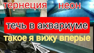 ЧП на разводне, такое вы точно не видели