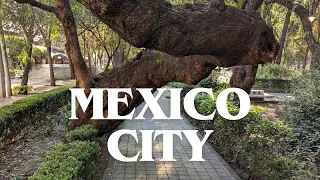 Avenida Horacio, Mexico City - HD Walking Tour