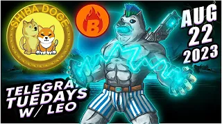 Shiba Inu Shibarium Bone & DogeCoin Multi Millionaire Whales Launched ShibaDoge & Burn Token + NFTs