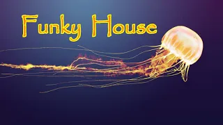 Funky House 173